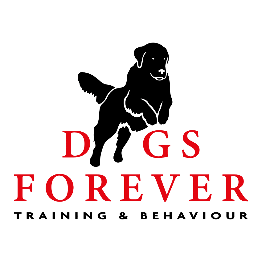 http://Dogs%20Training